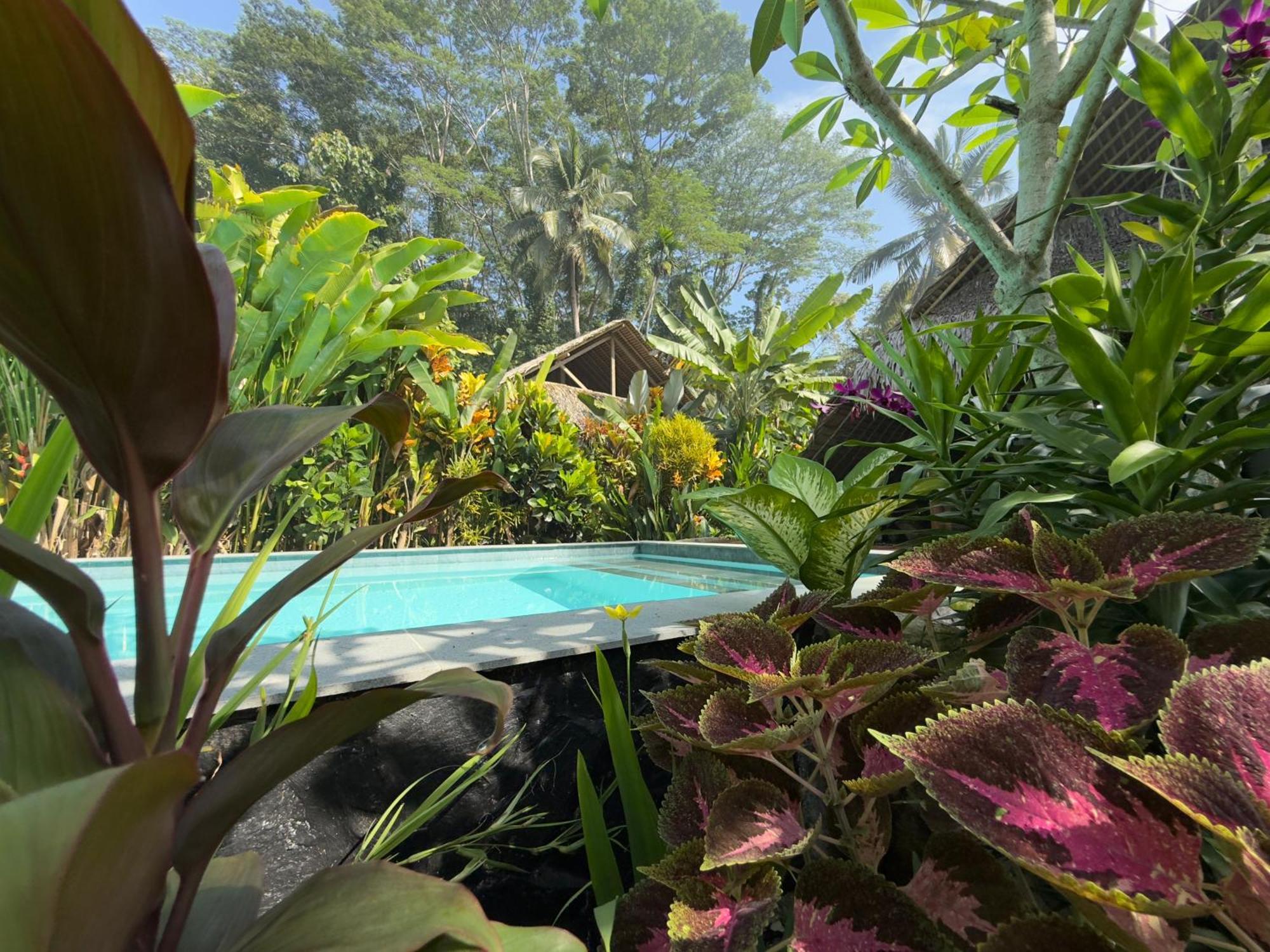 Rnv Eco Resort Bungalows Batukaras Экстерьер фото