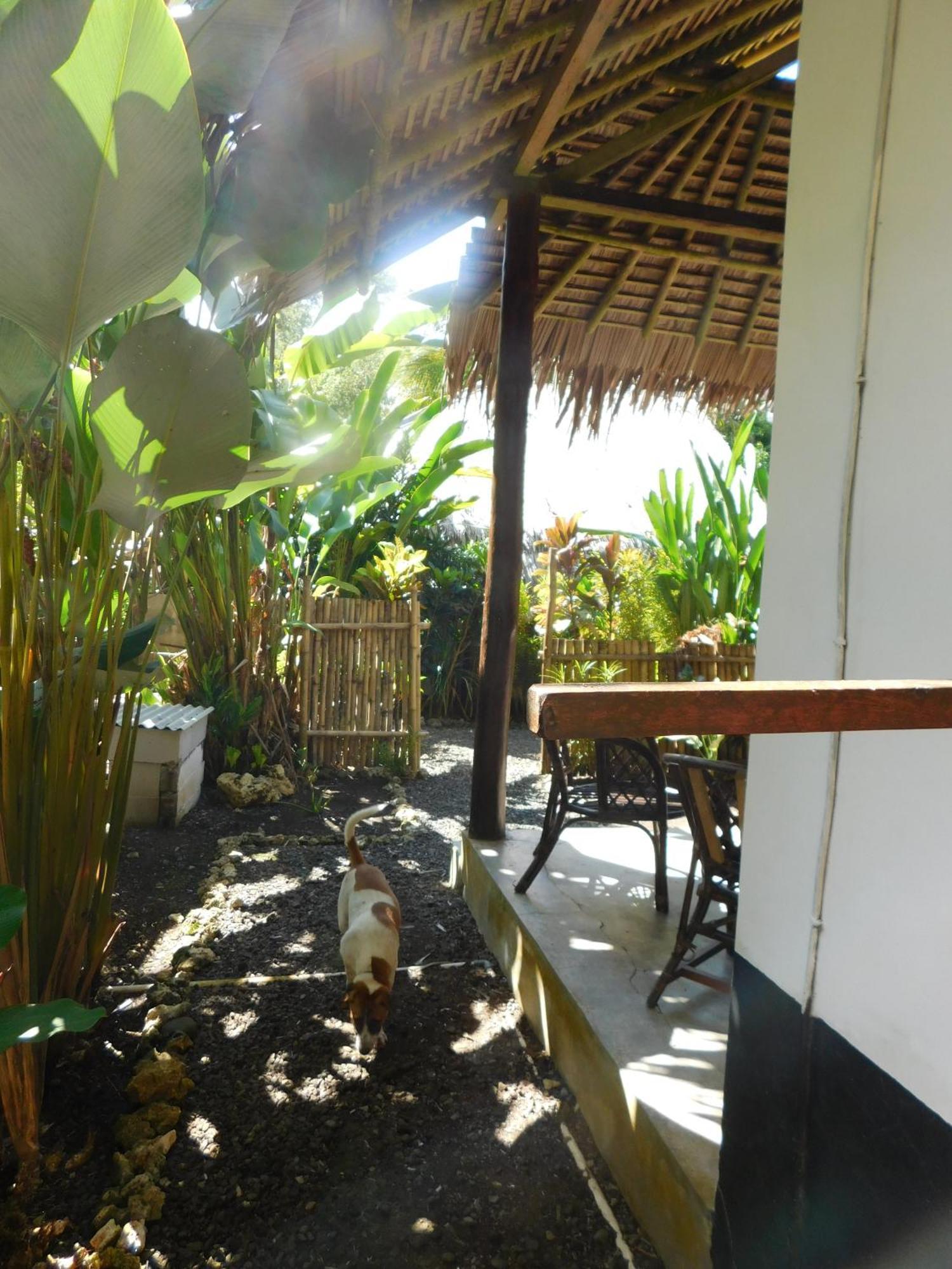 Rnv Eco Resort Bungalows Batukaras Экстерьер фото